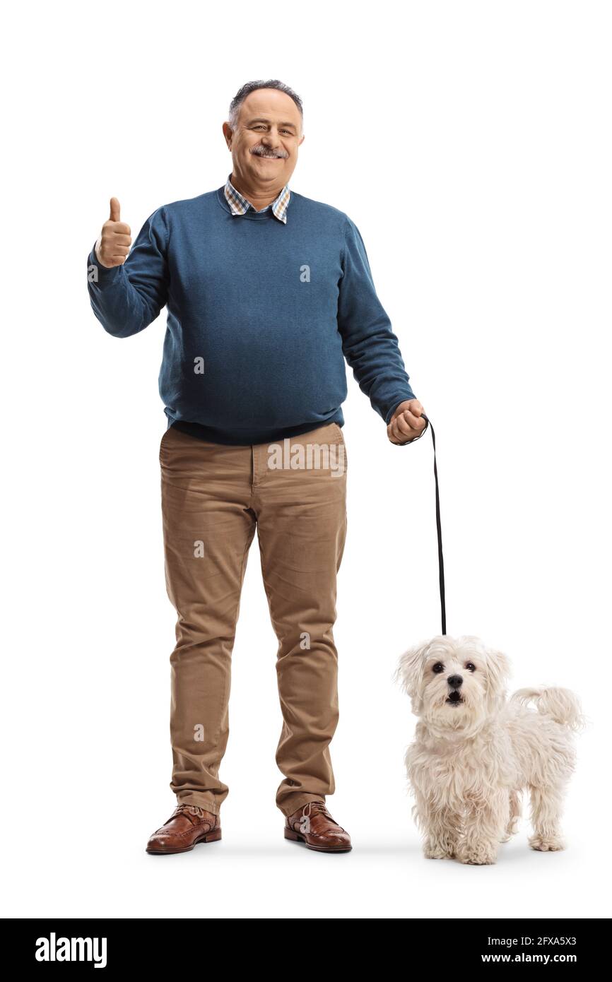 Full length portrait of a smiling mature man with a maltese poodle dog showing thumbs up isolated on white background Stock Photo