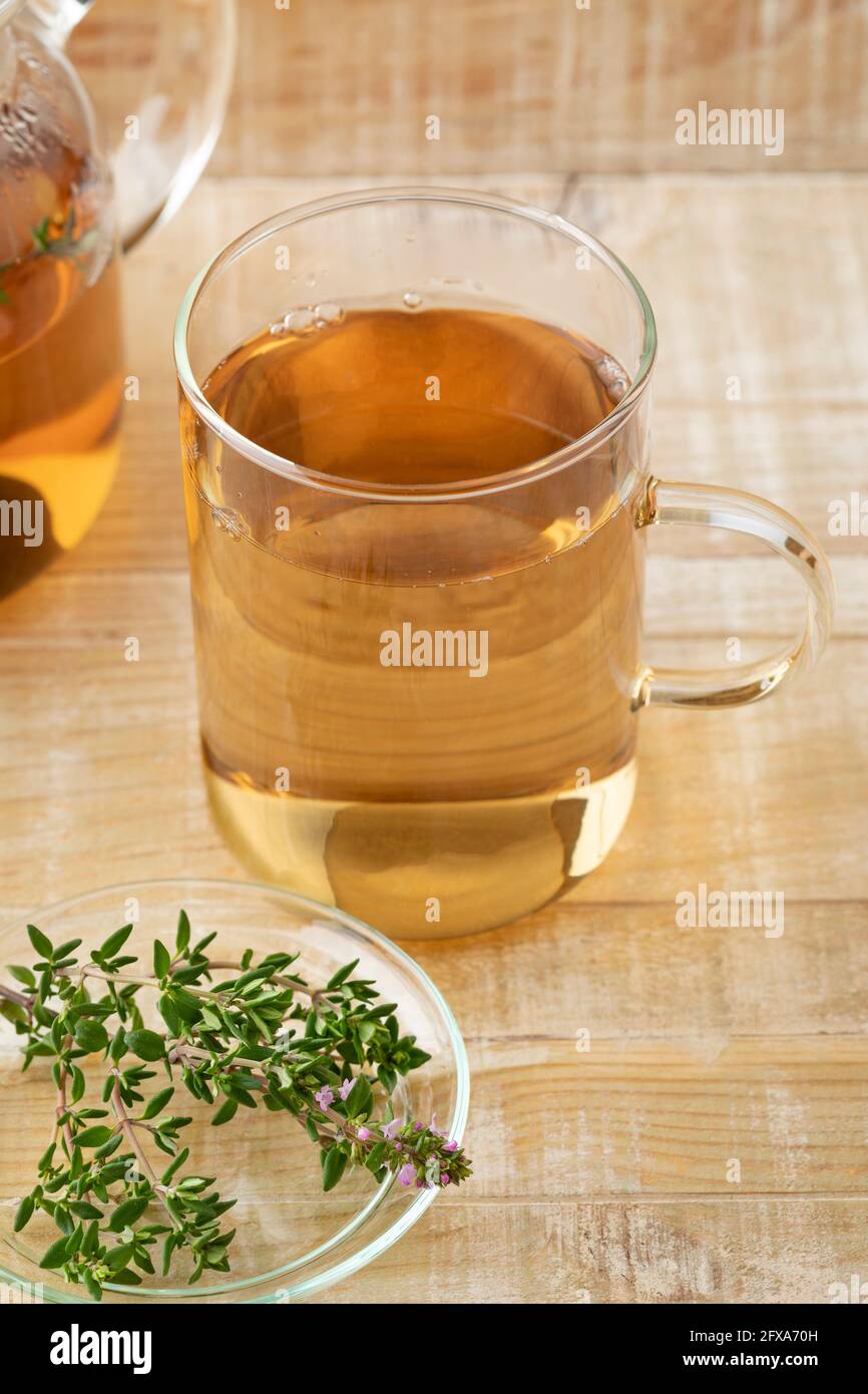 Glass cup of thyme tea and fresh thyme on wooden background Stock Photo