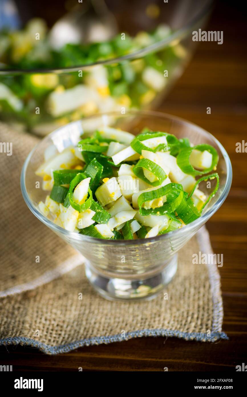 fresh spring salad with boiled squid, boiled eggs and green onions Stock Photo