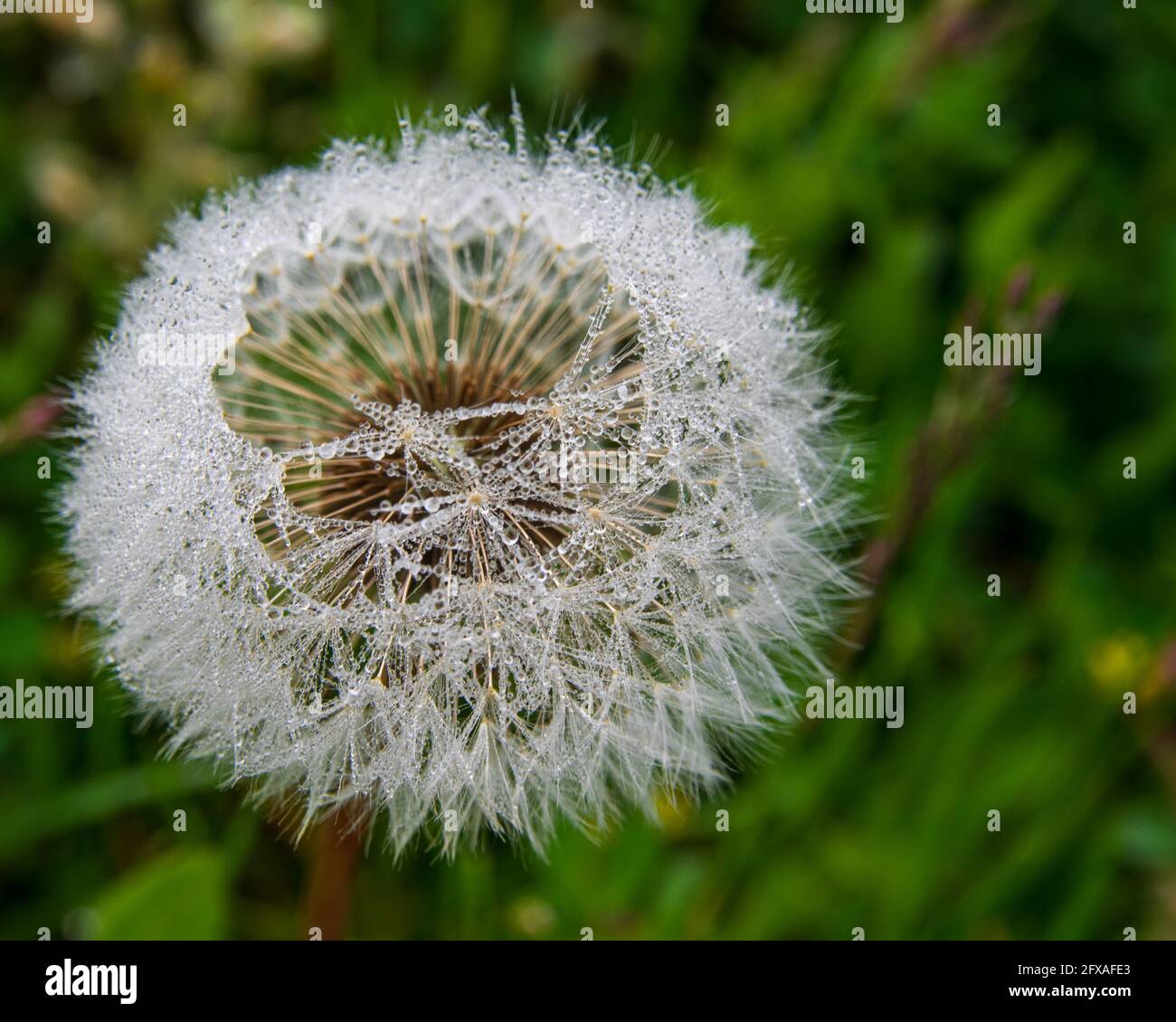 On the drops hi-res stock photography and images - Alamy