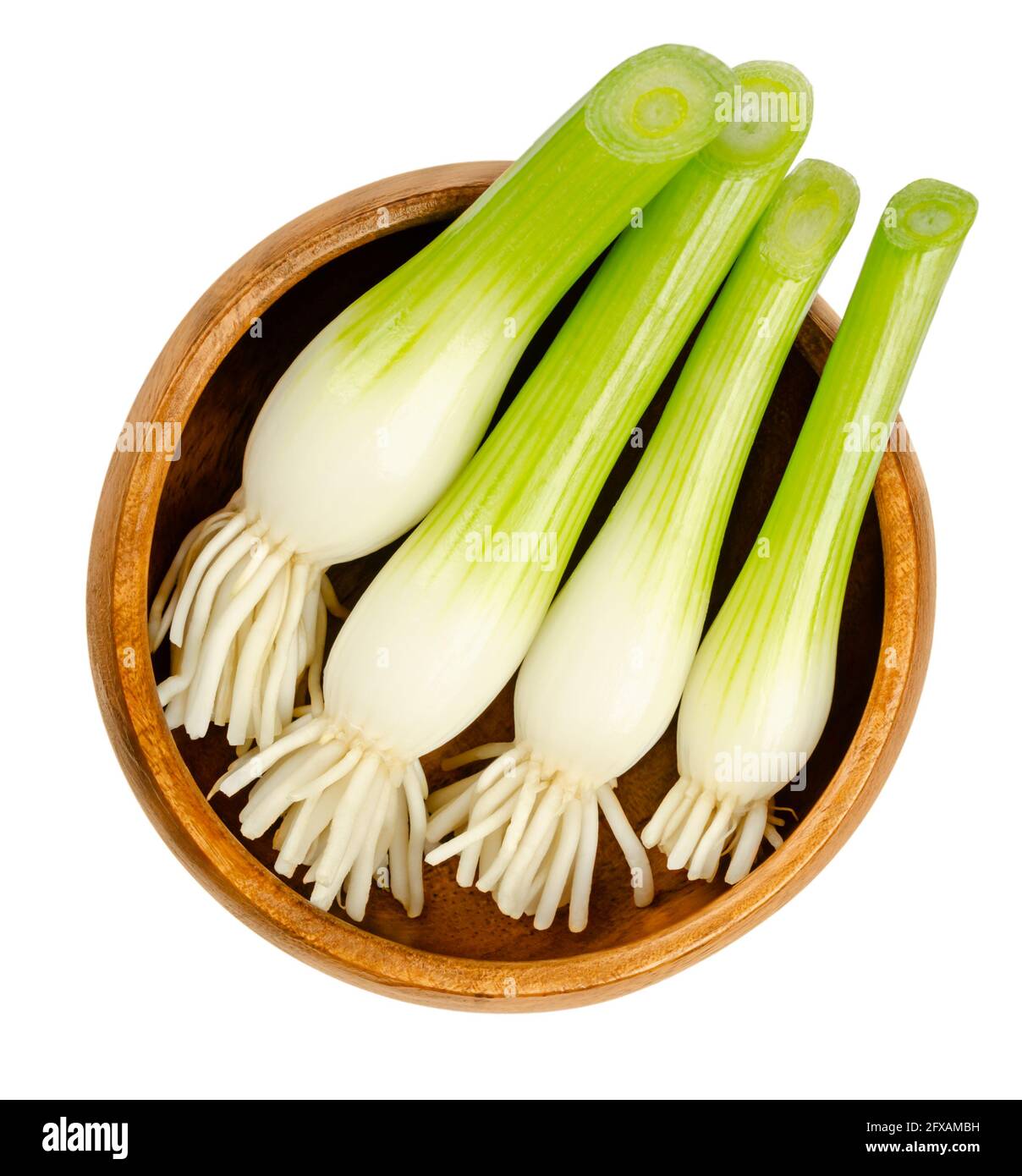 Fresh scallion bulbs, in a wooden bowl. Group of green onions, also called spring  onions or sibies. Vegetable with mild onion taste Stock Photo - Alamy