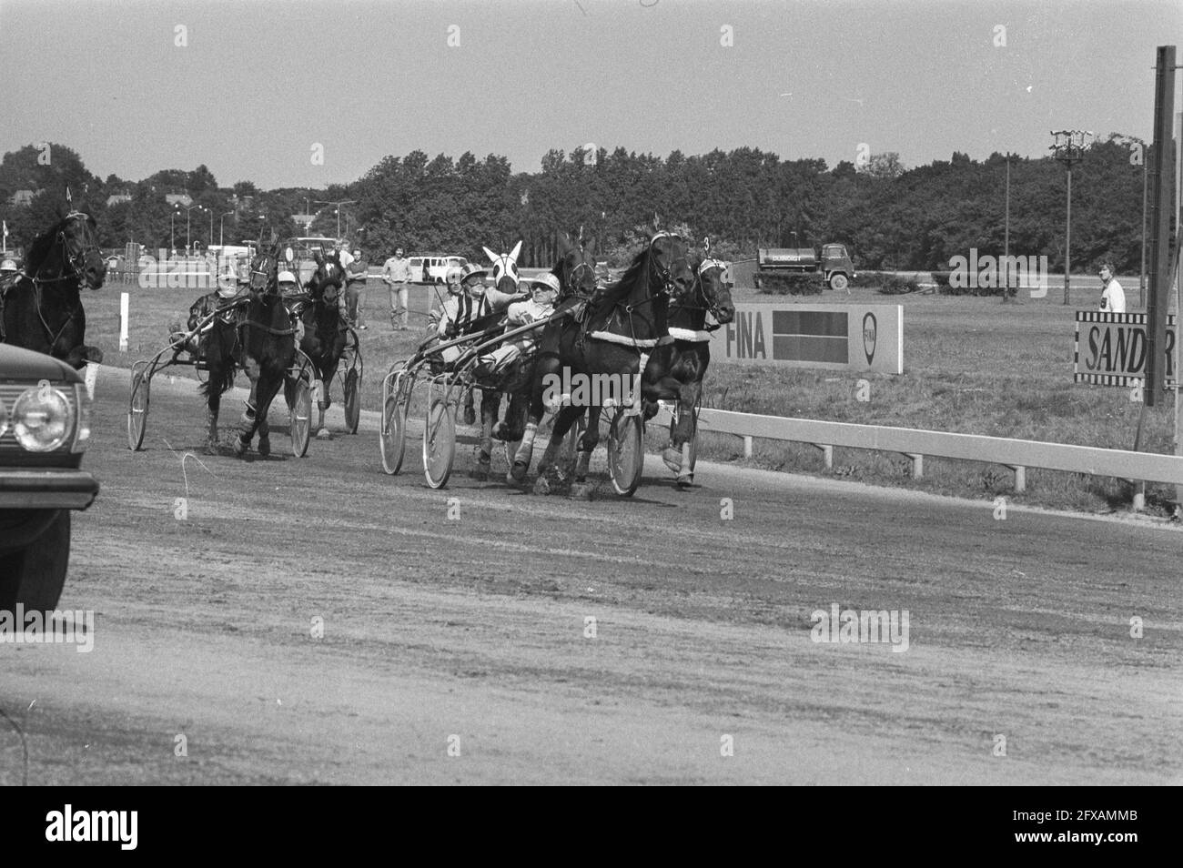 Duindigt, derby for trotters; winner is No. 14 Uranis ter Lune with pikeur De Wrede, August 2, 1981, trotting, equestrian, sport, The Netherlands, 20th century press agency photo, news to remember, documentary, historic photography 1945-1990, visual stories, human history of the Twentieth Century, capturing moments in time Stock Photo
