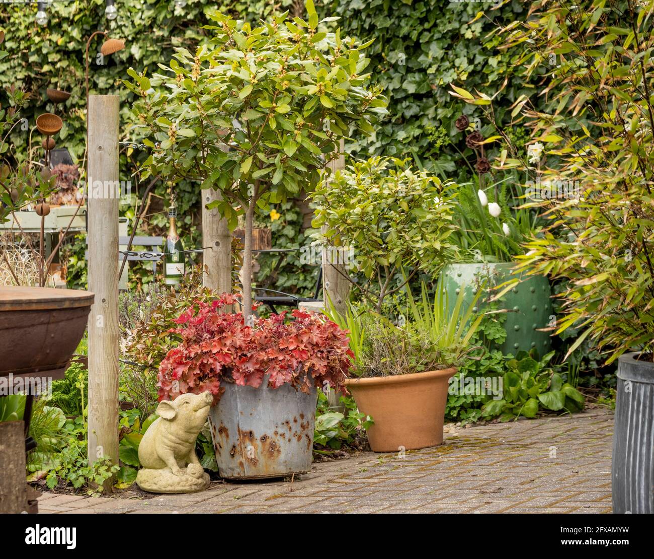 Small garden with an assortment of metal, terracotta and ceramic containers with various plants in them. UK. Stock Photo