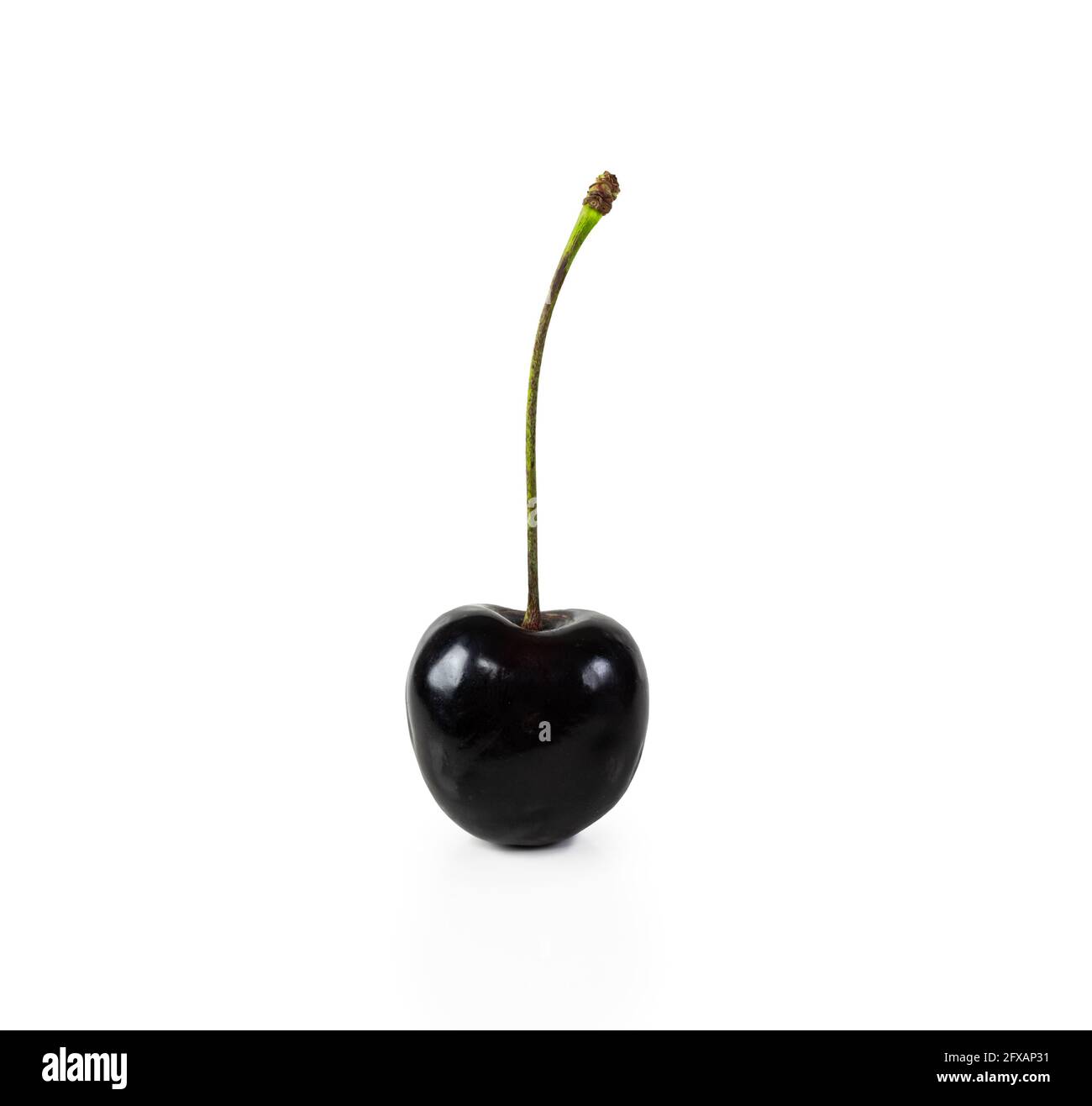 Black cherry isolated on white background. Stock Photo
