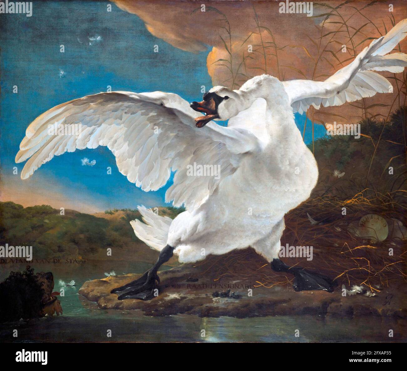 The Threatened Swan by Jan Asselijn ( (c.1610-1652), oil on canvas, c. 1650 Stock Photo