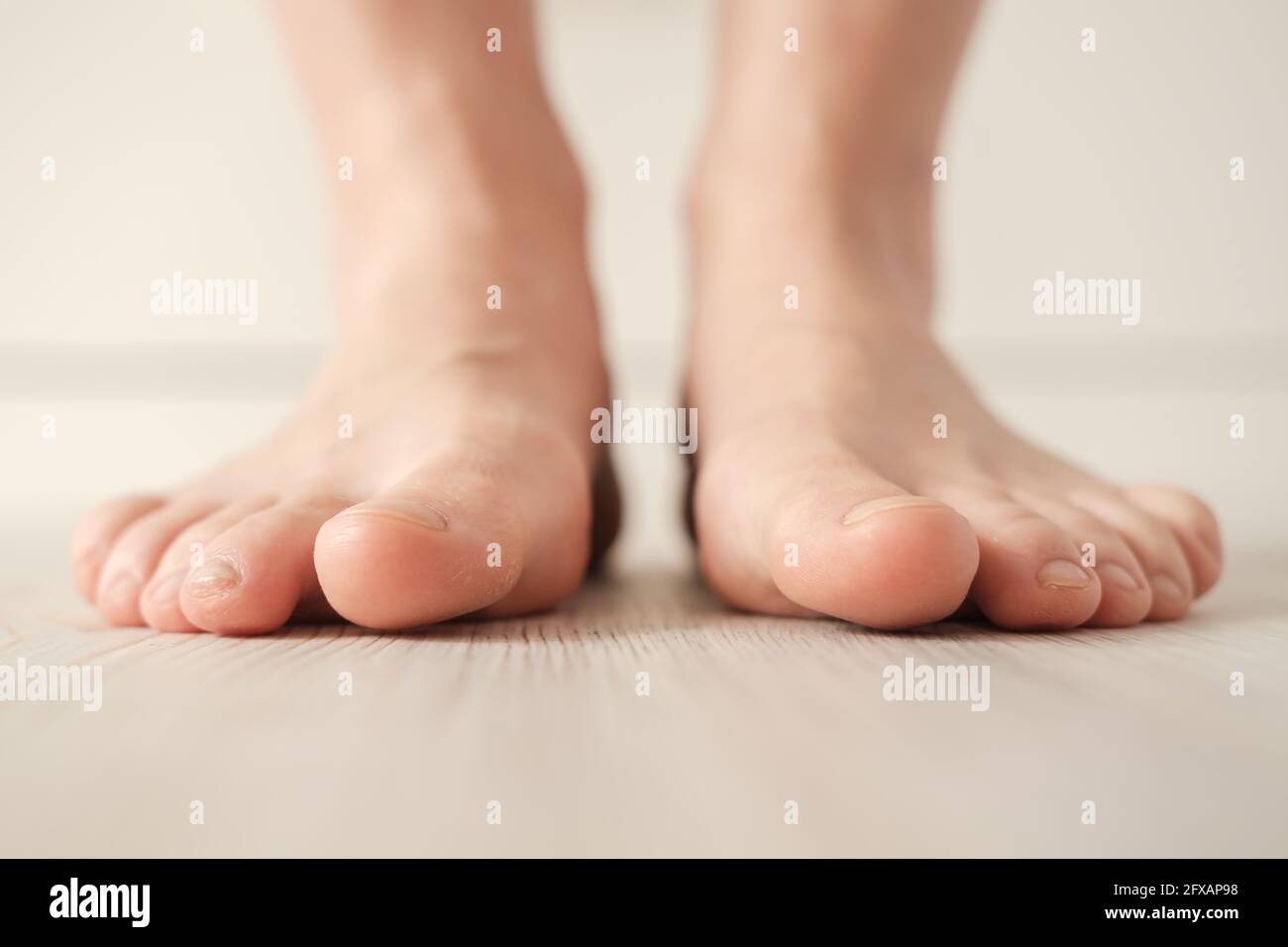 Barefoot female feet stand on the floor on a white background. Bottom
