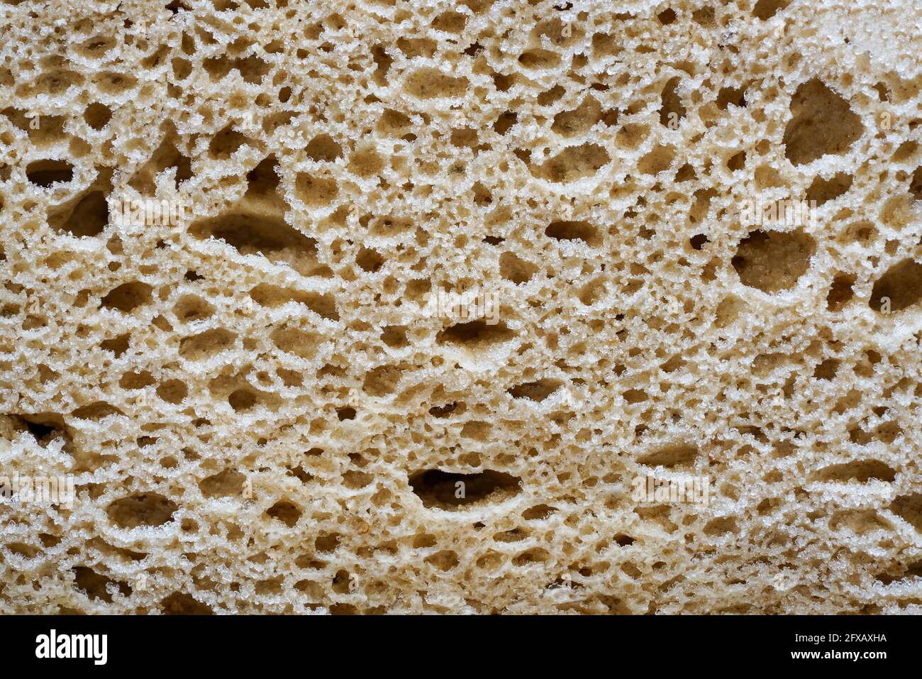 Graphic elements photographed in the studio with natural light well for background Stock Photo