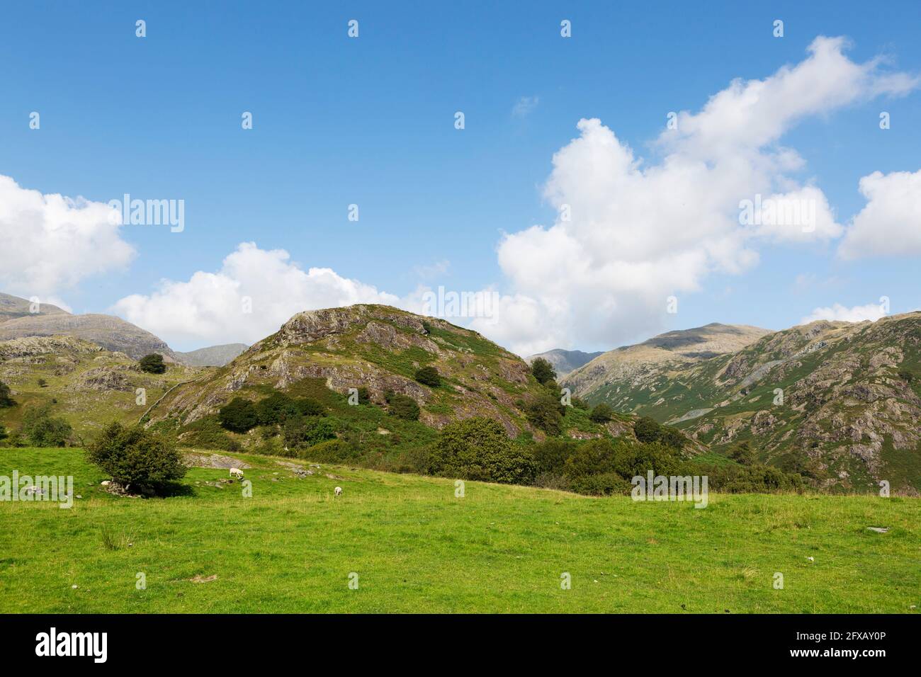 Landscape around the Old Man of Coniston in Cumbria, England. The circular walk to the peak of the Old Man of Coniston is one of the most popular in t Stock Photo