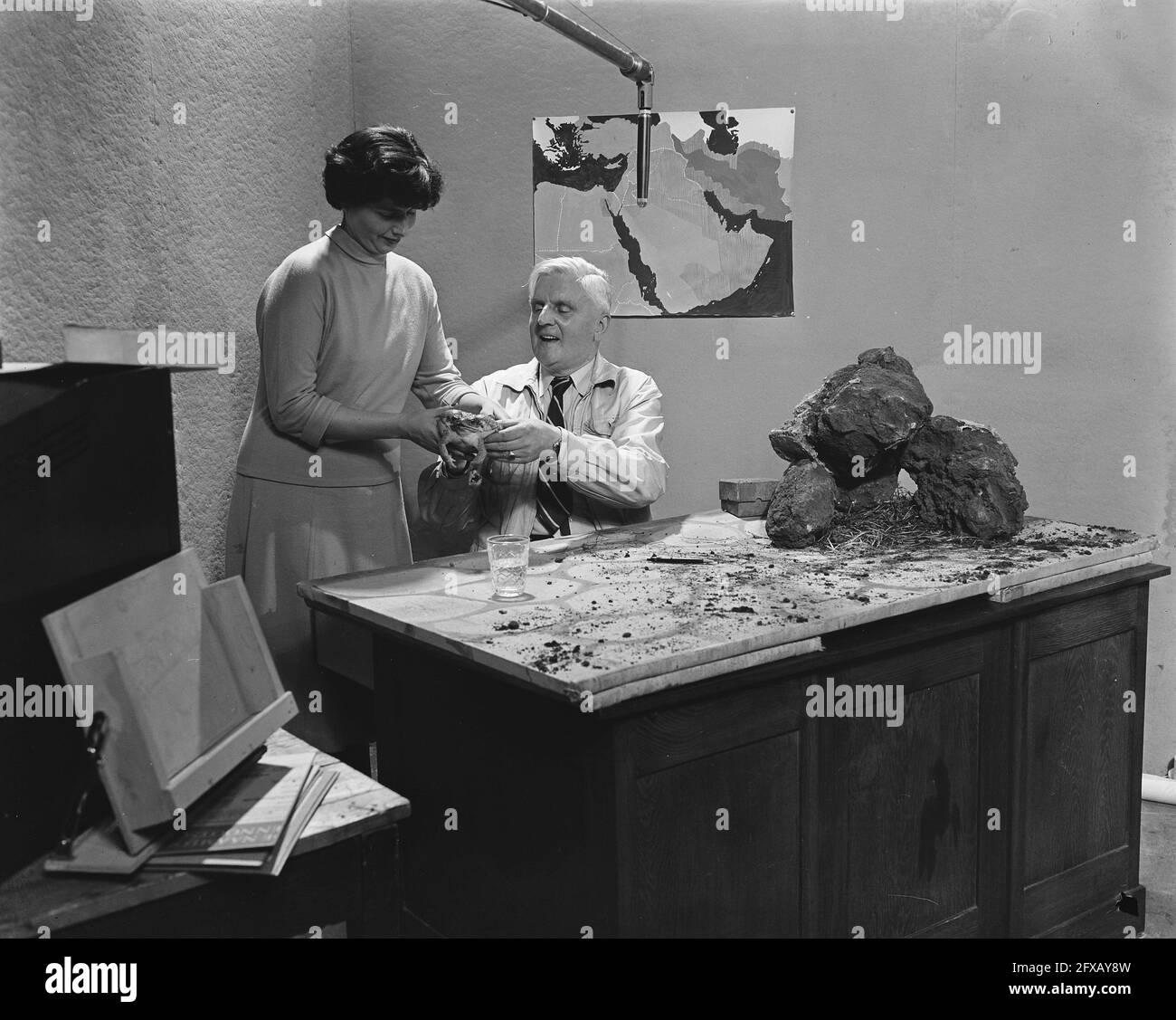 First avro television announcer netty rosenfeld hires stock