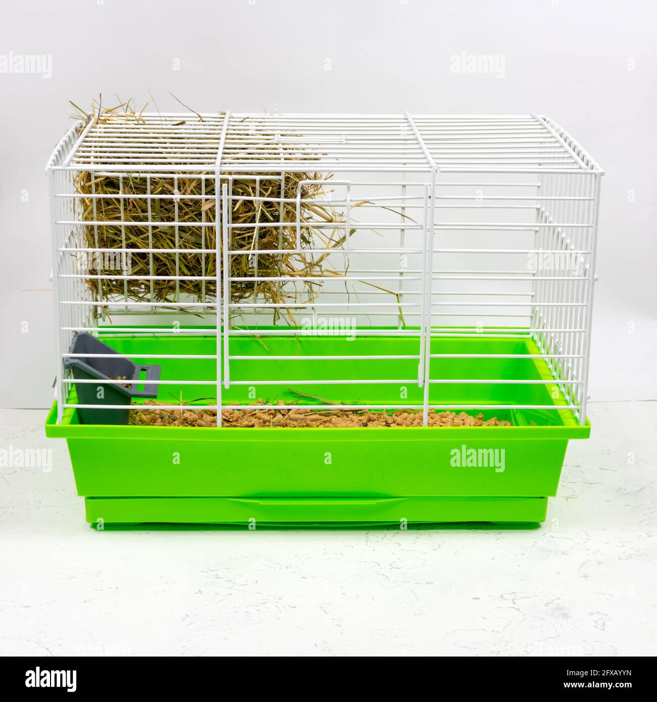Pet guinea pig cage hires stock photography and images Alamy