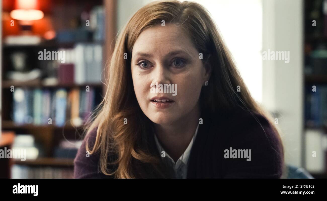 Amy Adams High School