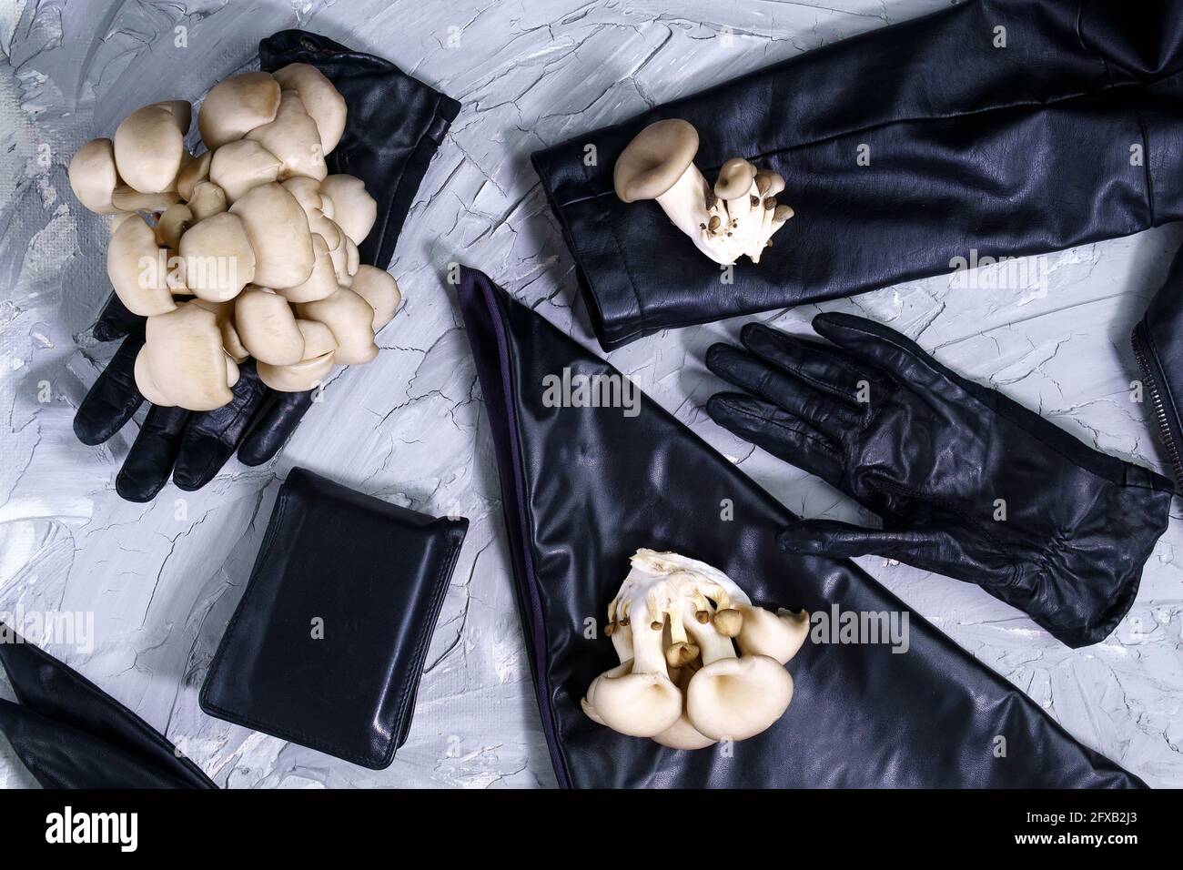 Leather mycelium, bio based sustainable alternative leather. eco