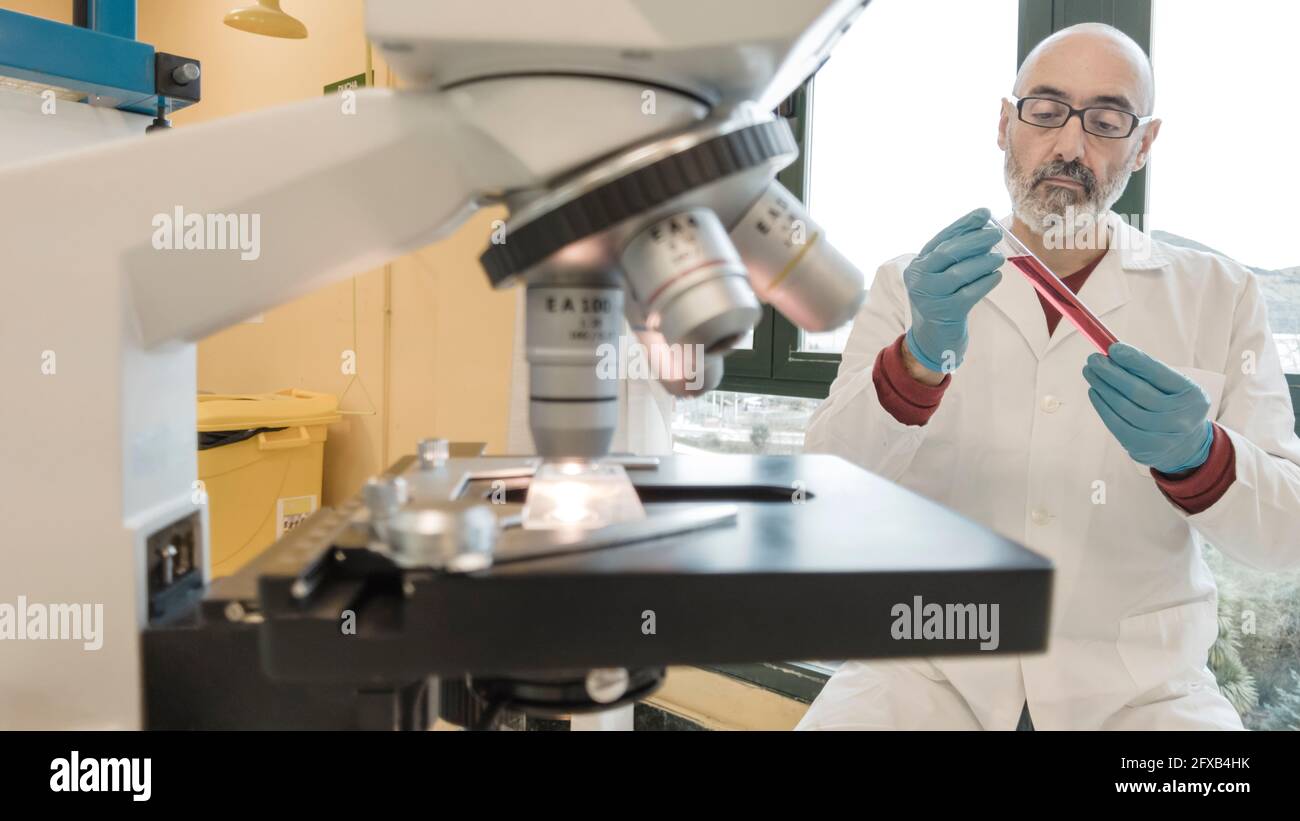Microscope and male researcher in his 50's in a lab coat with test tubes in a laboratory. Basque Country, Spain, Europe. Stock Photo