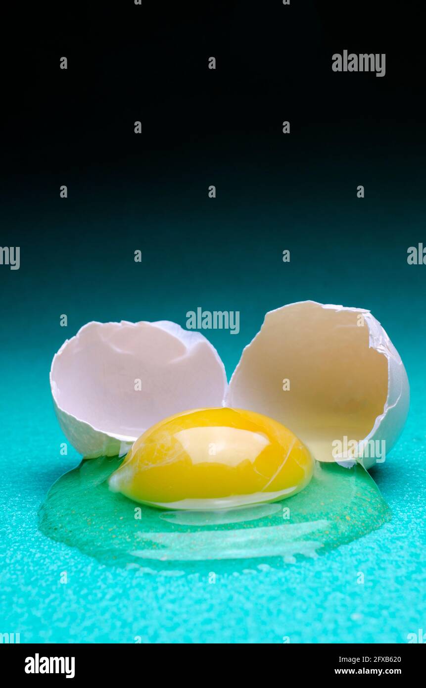 raw egg white and yolk closeup isolated Stock Photo Alamy