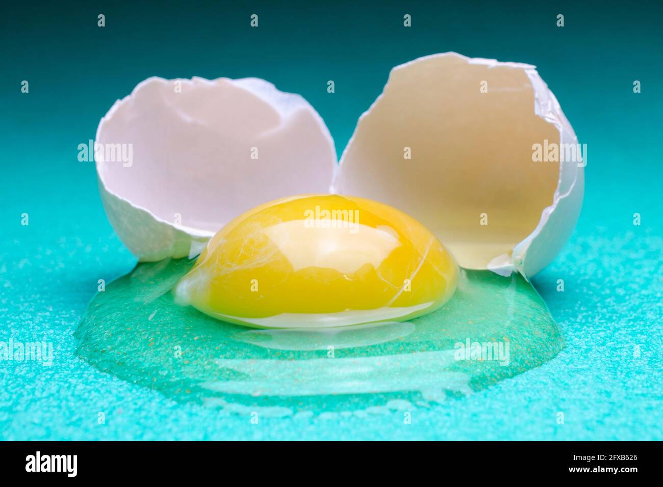 raw egg white and yolk closeup isolated Stock Photo Alamy