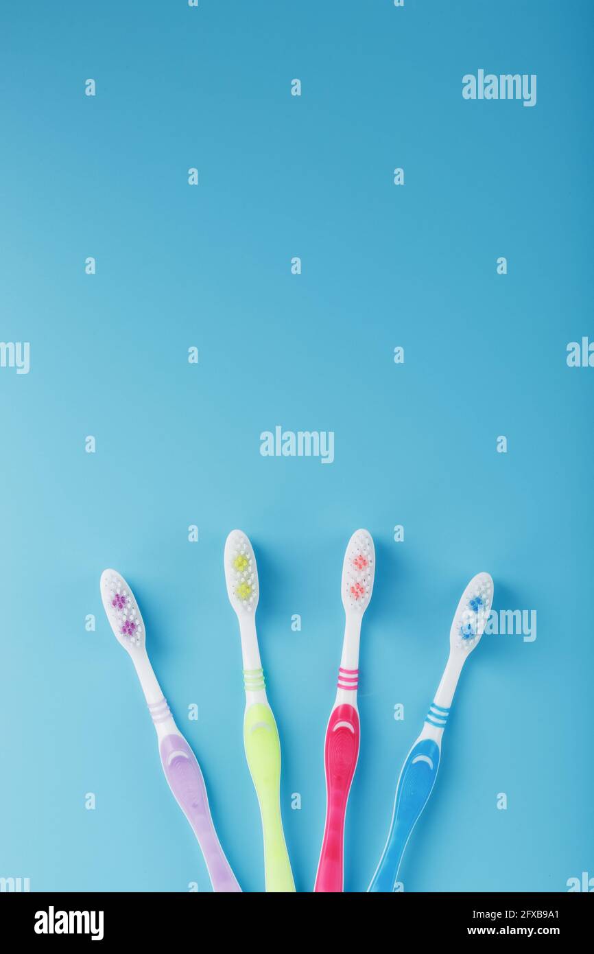Four toothbrushes on a blue background. Free space, isolate Stock Photo