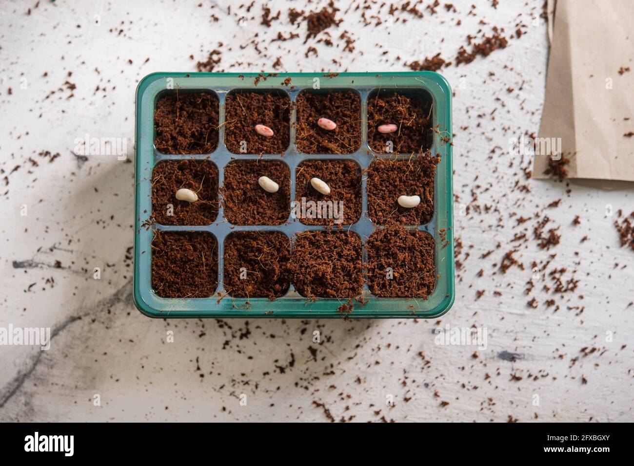 Seed box hires stock photography and images Alamy