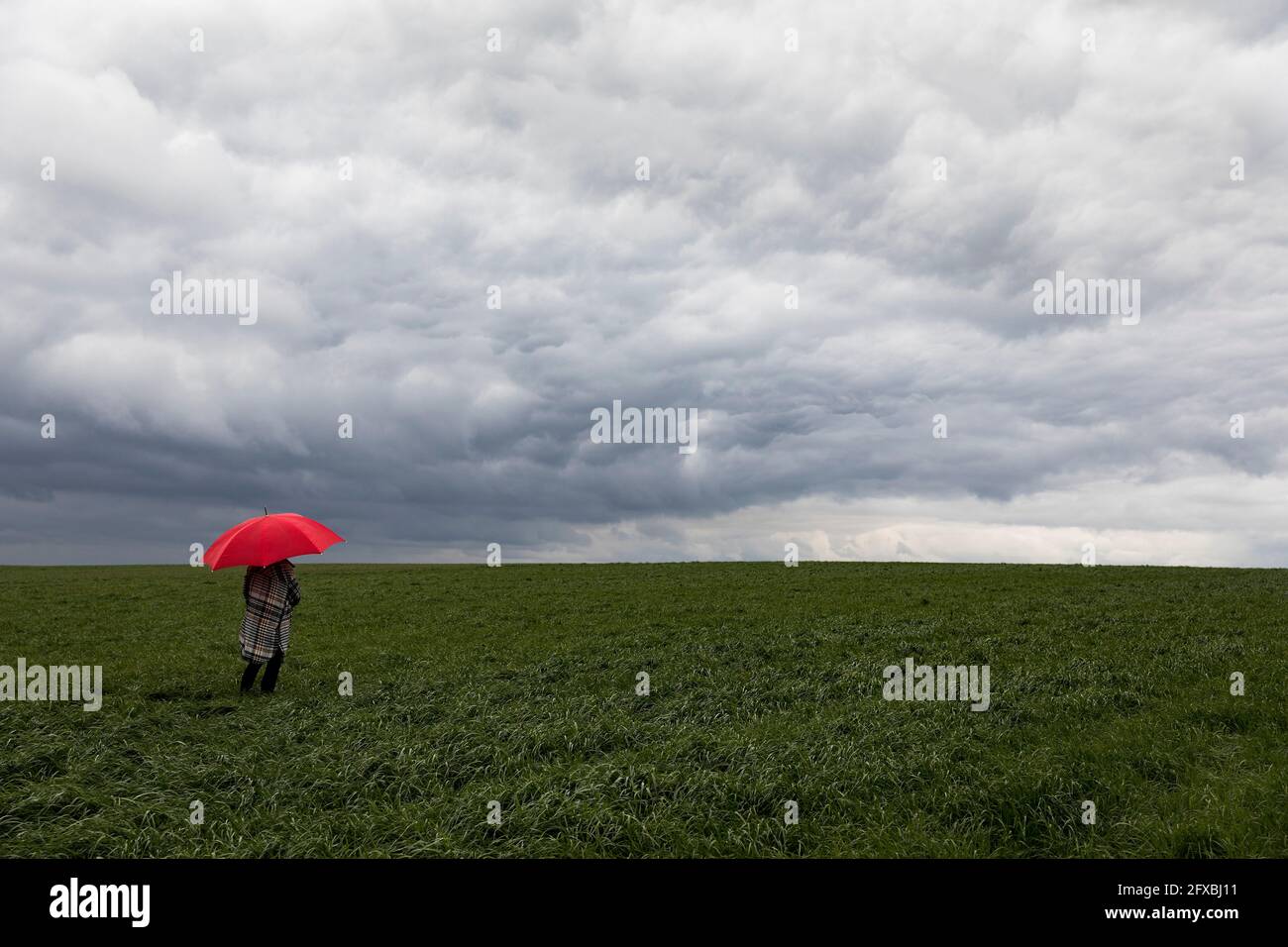 Woman with red umbrella standing in grass during stormy weather Stock Photo