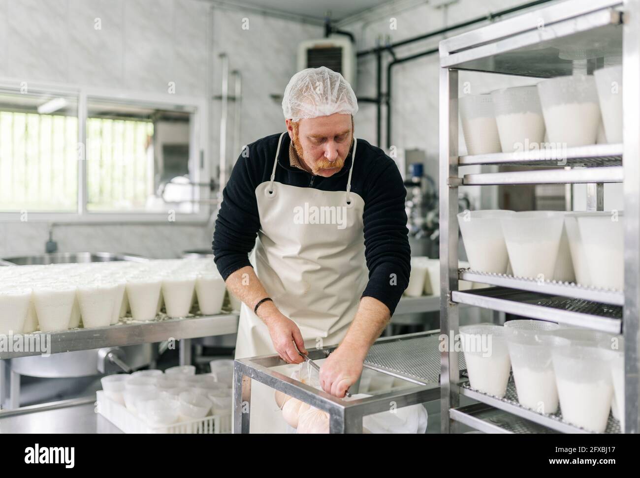 Male chef working in dairy factory Stock Photo Alamy