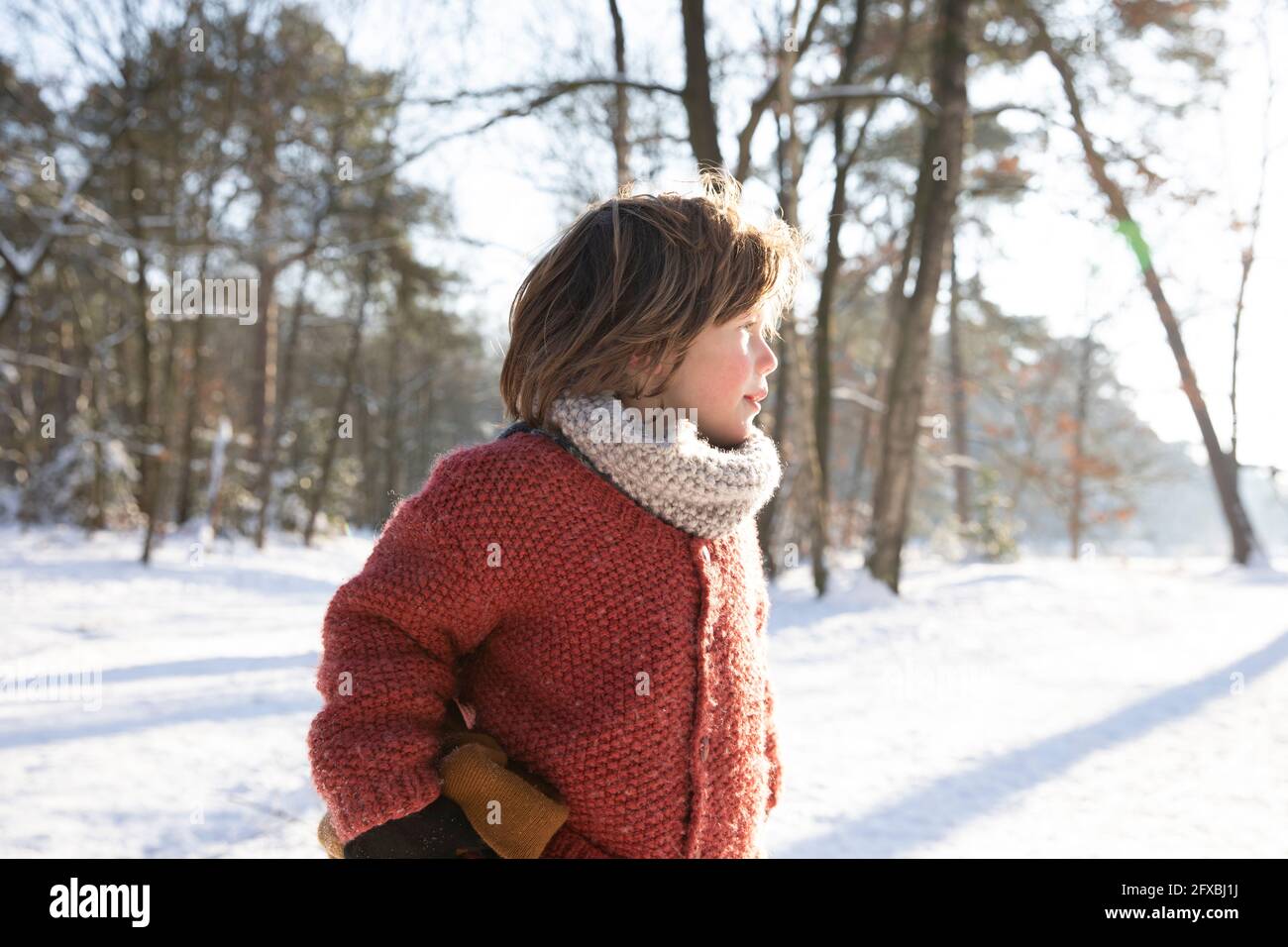 Boy looking away during sunny day in winter Stock Photo