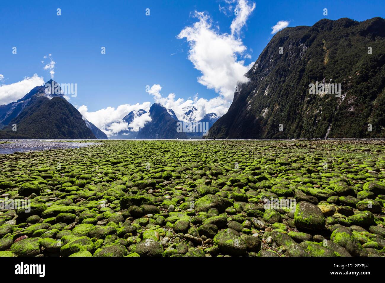 Moss covered stones hires stock photography and images Alamy