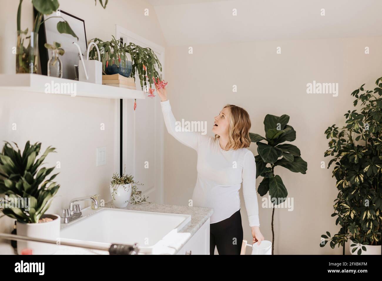 Careful woman touching potted plant on rack at home Stock Photo