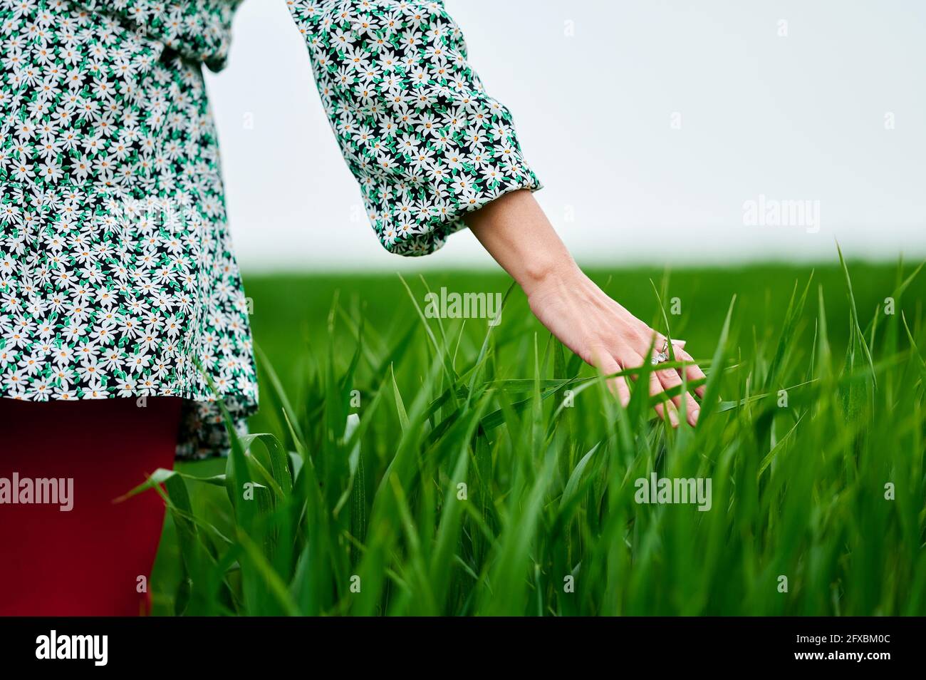 Hand touching grass hi-res stock photography and images - Alamy