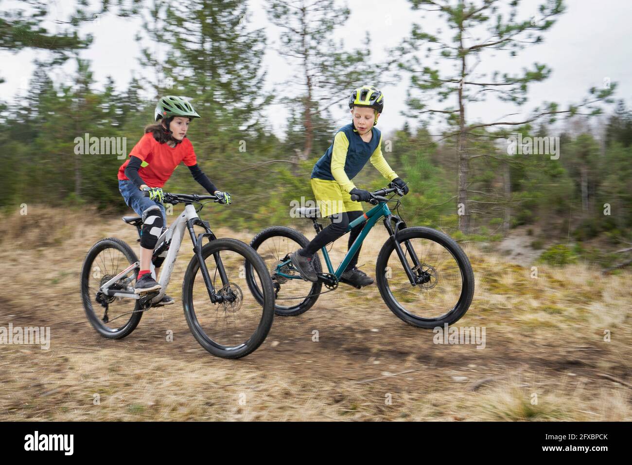 Brothers riding bicycle on dirt road in forest Stock Photo