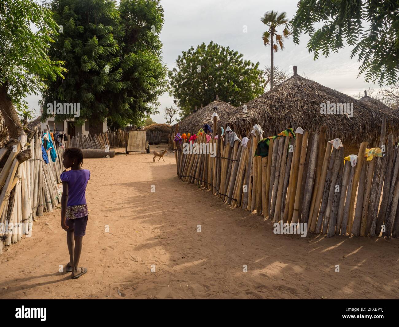 Senegal, Africa January 2019 Traditional African small village with