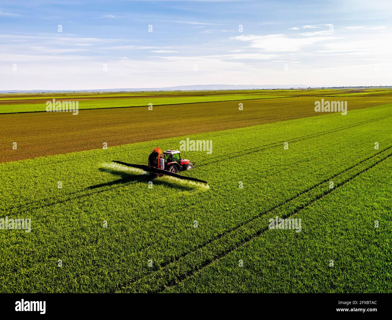 Crop sprayer sprinkling fungicide on wheat field during sunny day Stock Photo