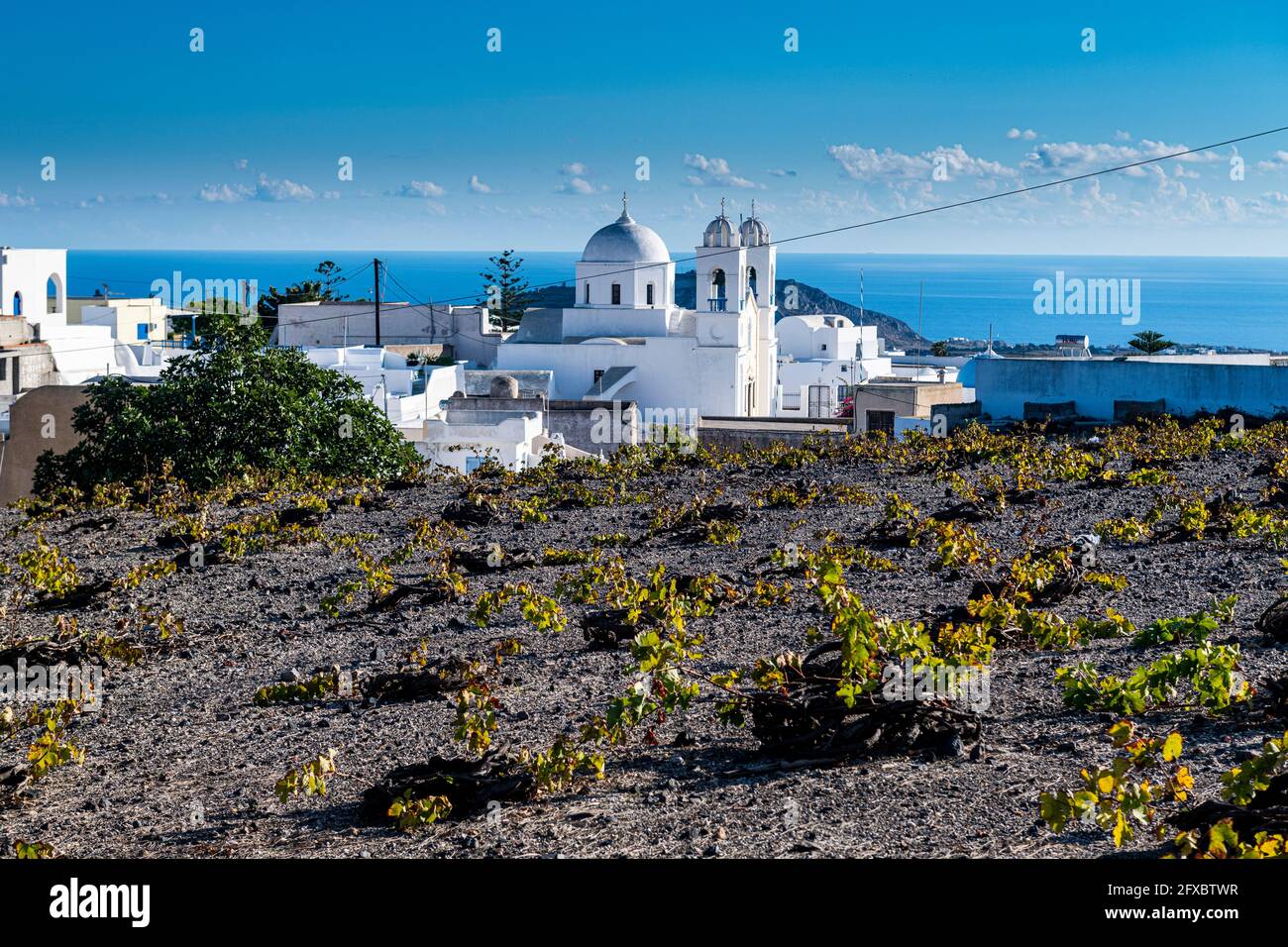 Greece, Santorini, Megalochori, Small vineyard in front of coastal village Stock Photo