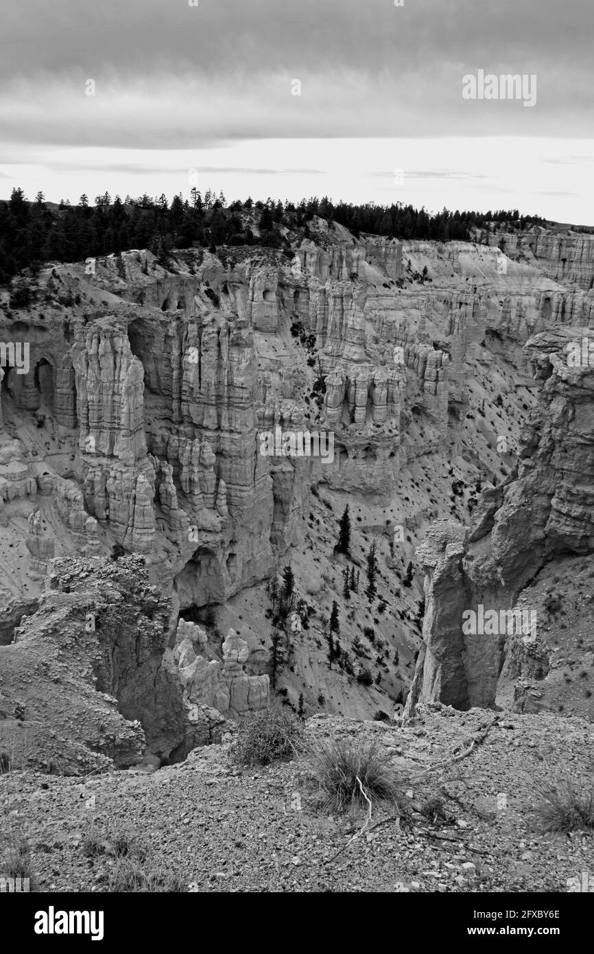 View over Bryce Canyon 2435 BW Stock Photo