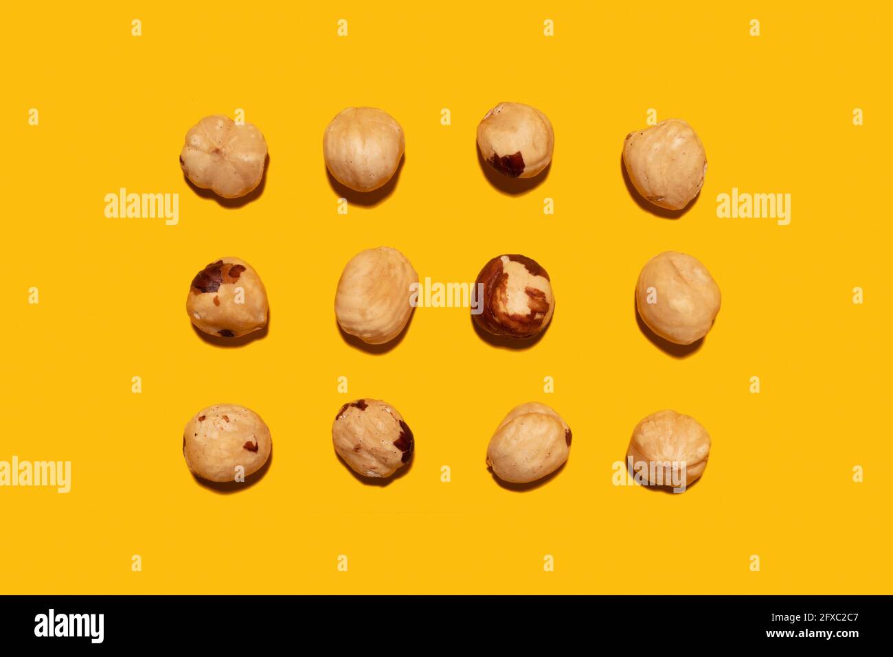Imperfect organic roasted hazelnuts in rows against yellow background Stock Photo