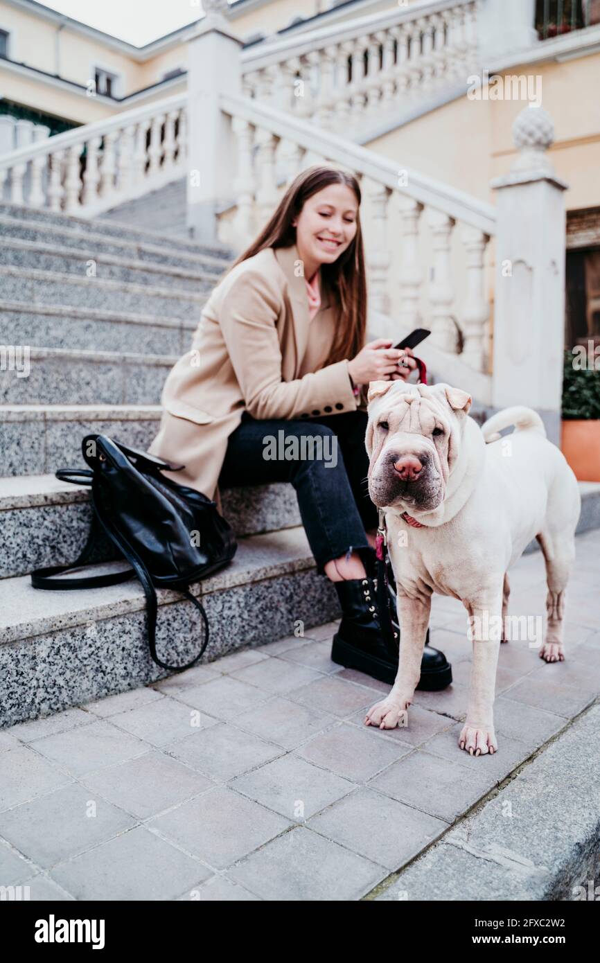 Smiling woman with mobile phone sitting by purebred dog on steps Stock Photo
