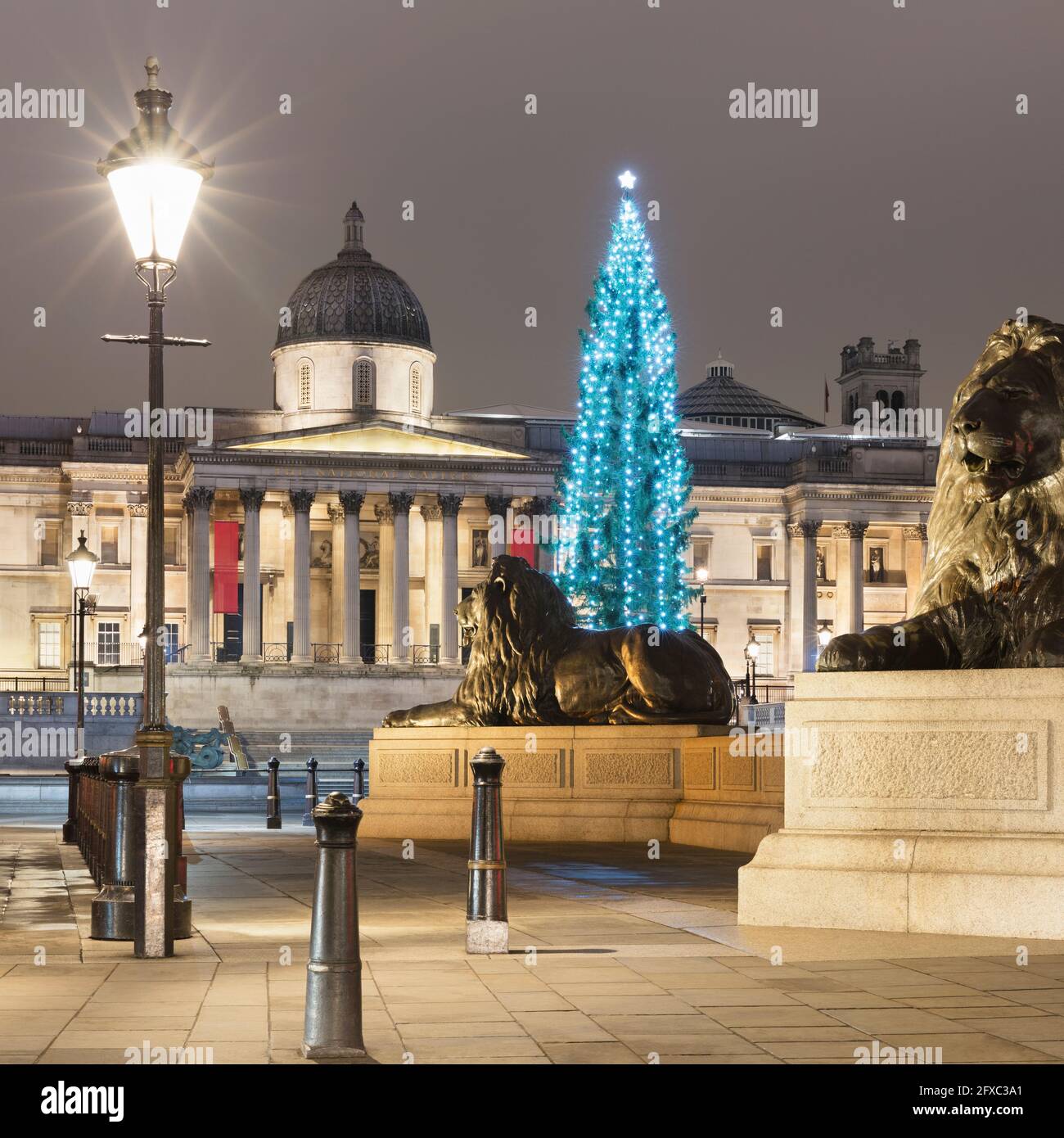 UK, England, London, Street light illuminating lion statues on Trafalgar Square at night with Christmas tree and National Gallery in background Stock Photo