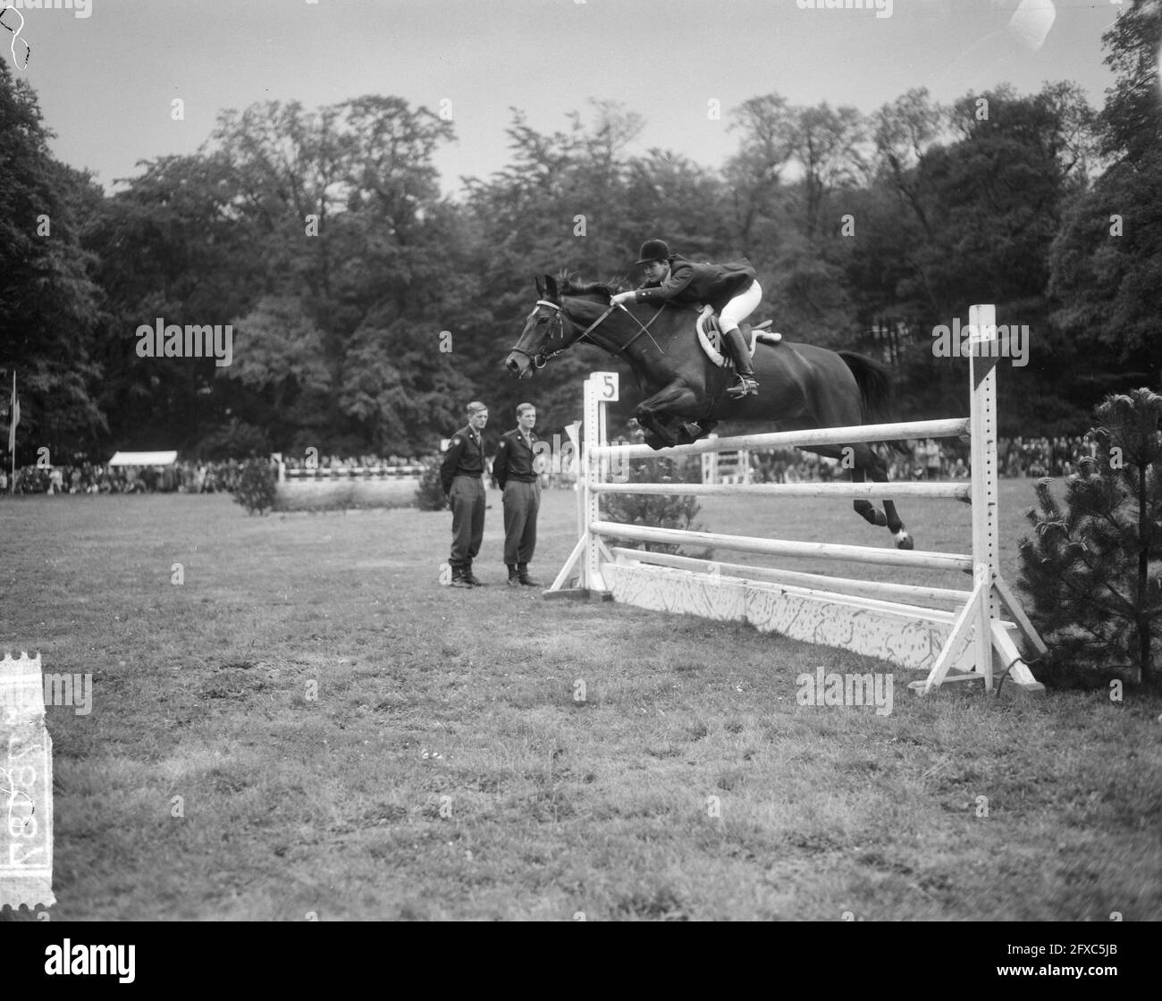 Nationaal concours hippique hi-res stock photography and images - Alamy