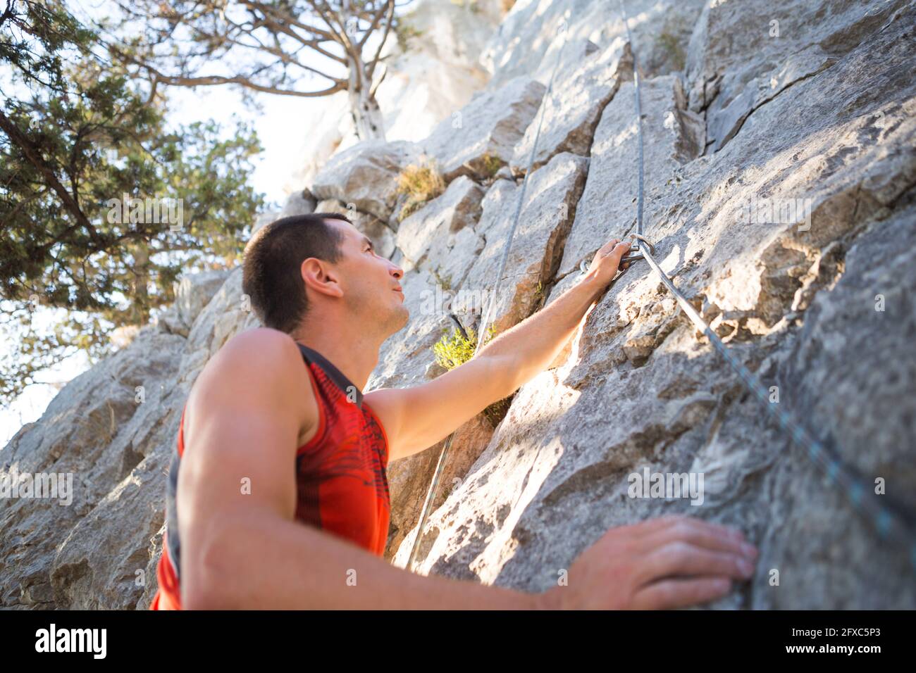 Skaldet Goodwill mørkere Climber in red t-shirt climbs a gray rock. A strong hand grabbed the lead,  selective focus. Strength and endurance, climbing equipment: rope, harness  Stock Photo - Alamy