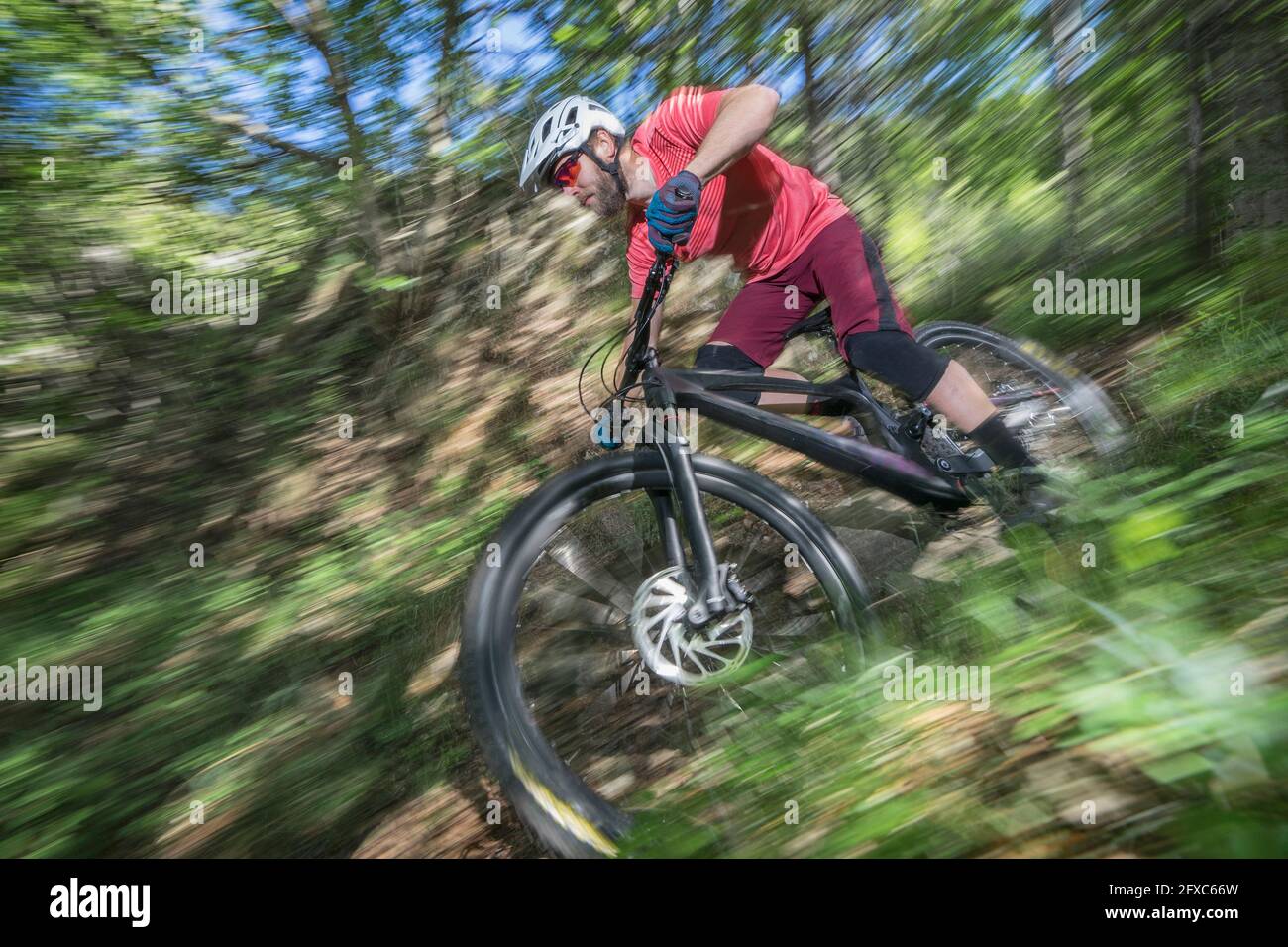 Male athlete moving down while riding bicycle in forest Stock Photo