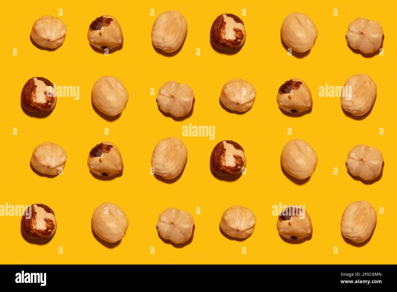 Imperfect organic roasted hazelnuts in rows against yellow background Stock Photo