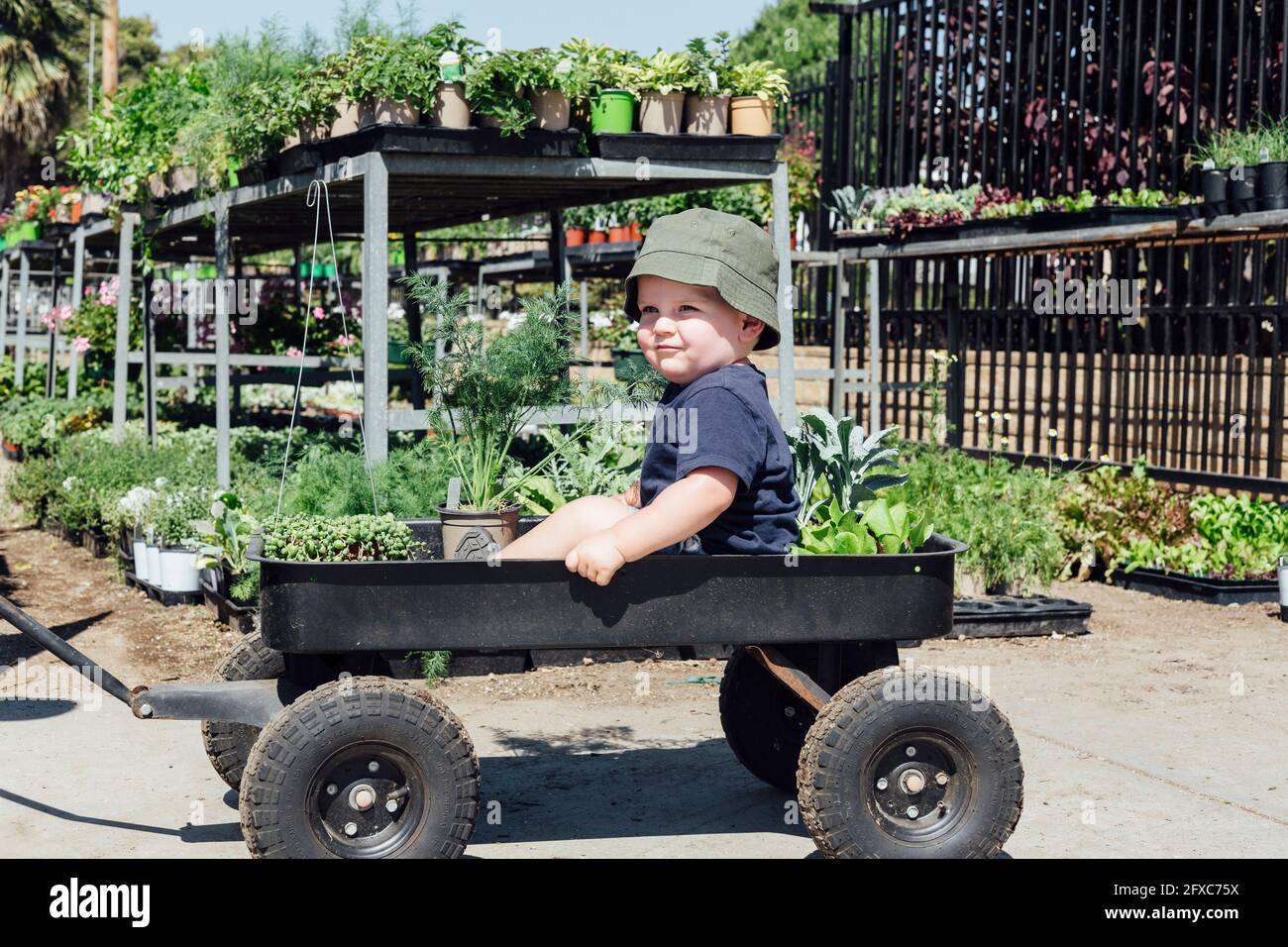 Cute boy sitting in wheelbarrow at plant nursery Stock Photo - Alamy