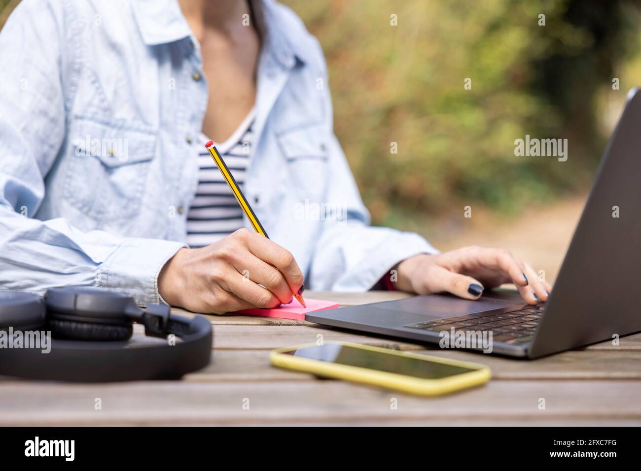 Female freelancer using laptop in garden Stock Photo