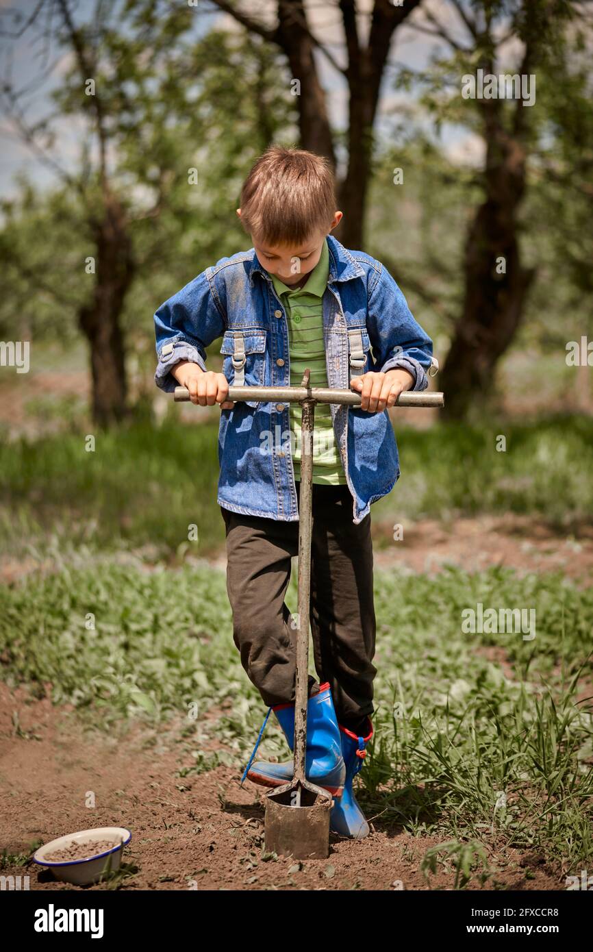 Boy digging holes in back yard for planting seeds Stock Photo - Alamy