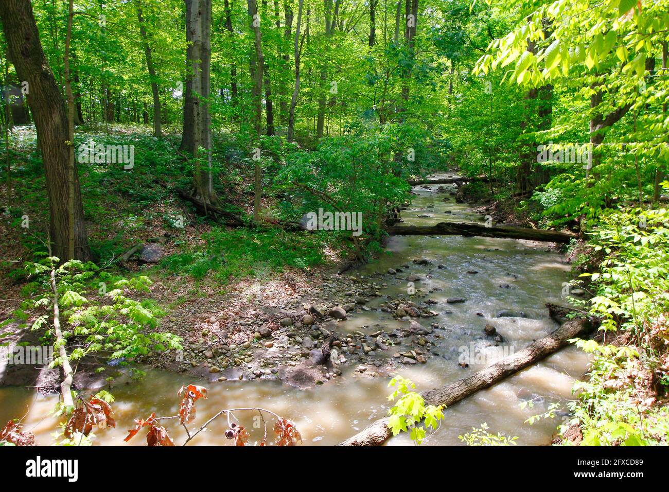 Small hidden pathway in hi-res stock photography and images - Alamy