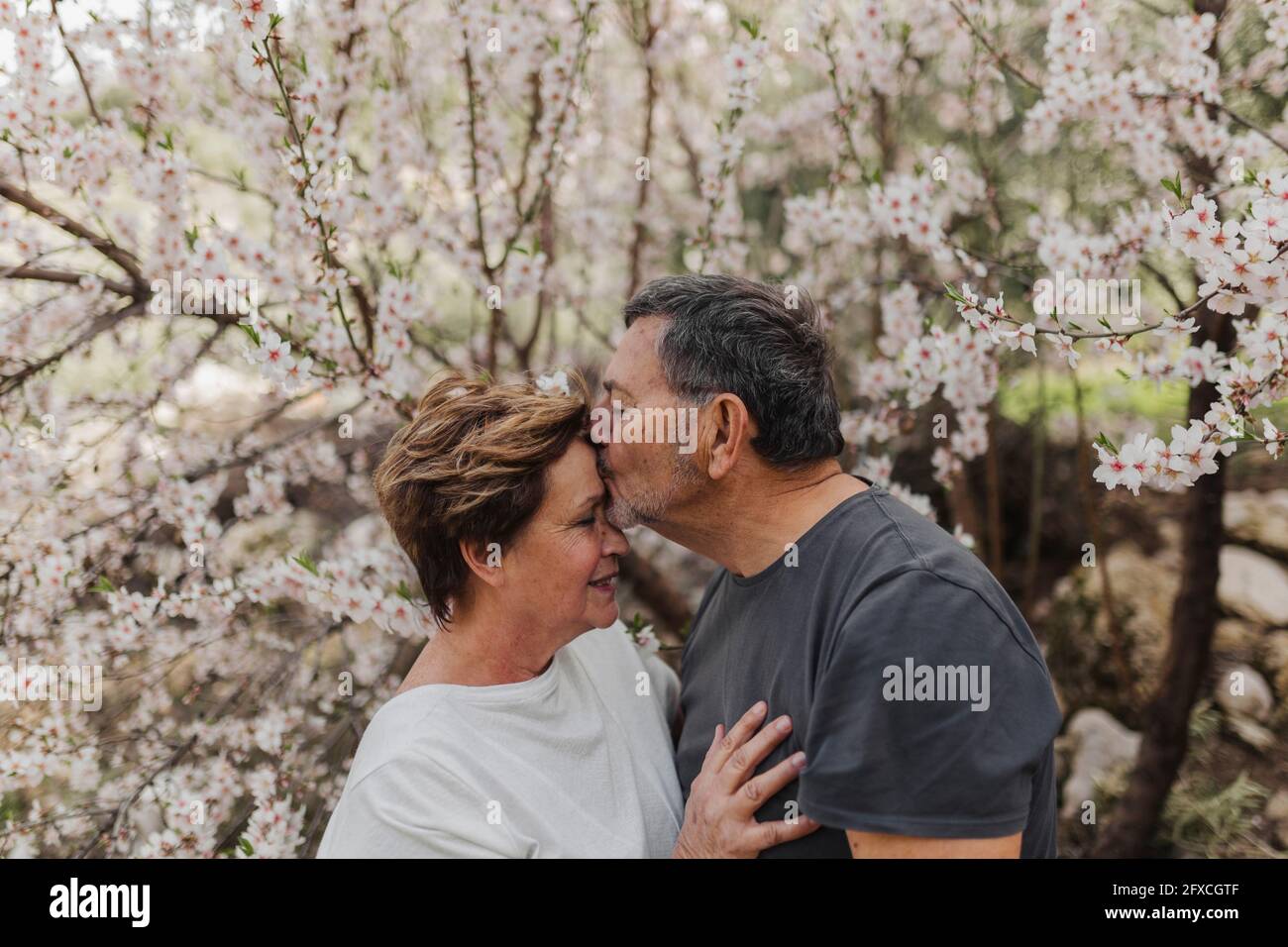 Couple kissing at blooming tree hi-res stock photography and images - Alamy