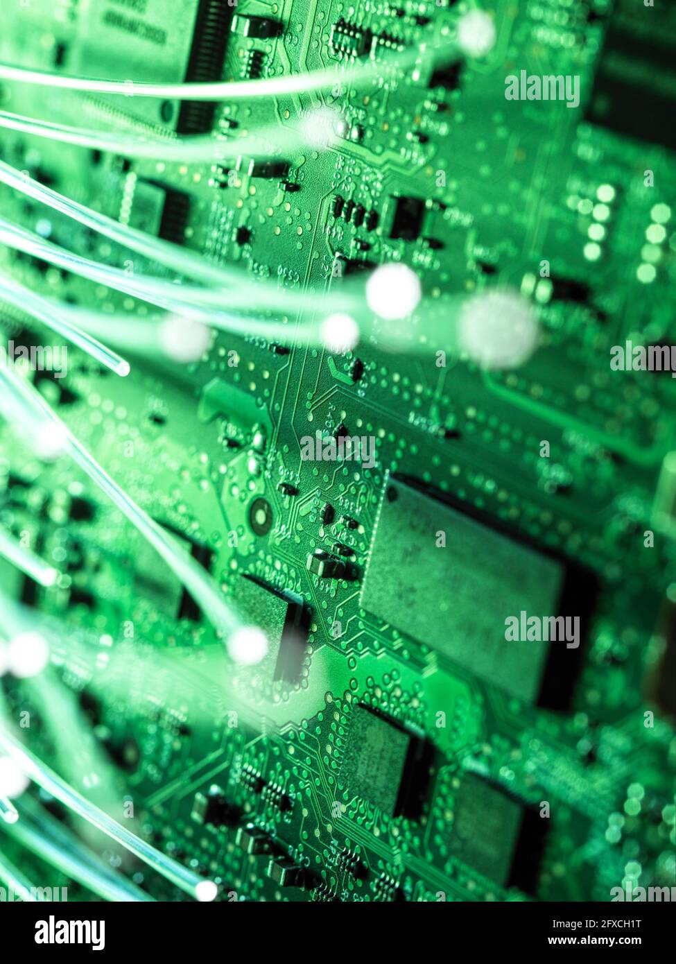 Illuminated fibre optics transferring data Stock Photo