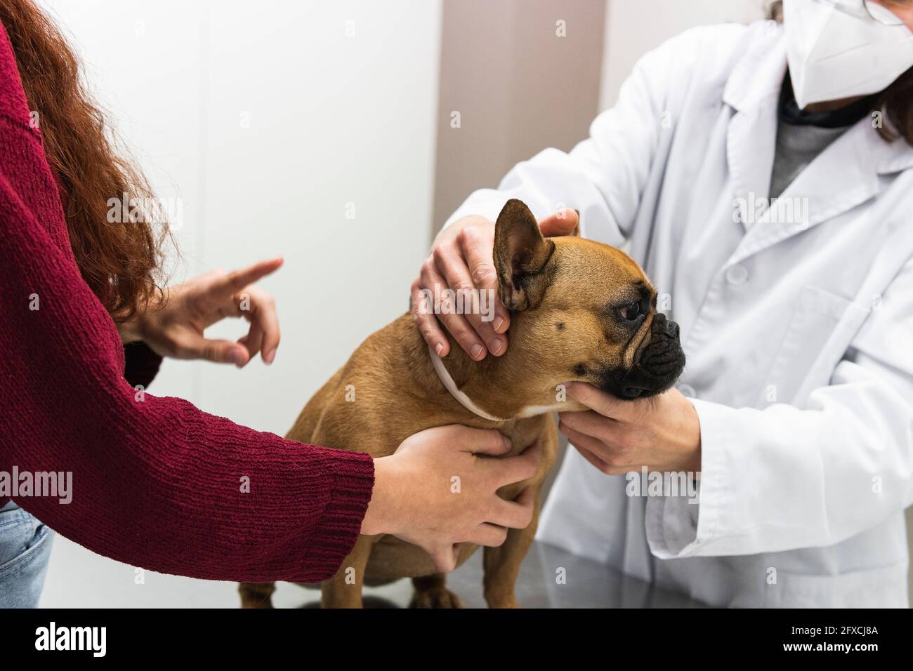 Female pet owner with dog at veterinary clinic Stock Photo