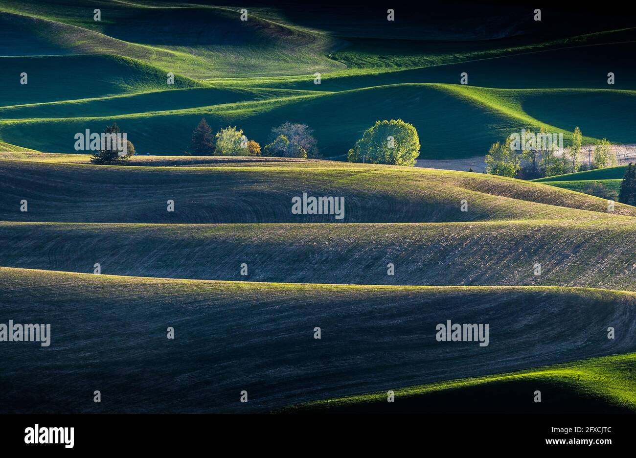 View of beautiful farm land rolling hills from Steptoe Butte Park in Washington Stock Photo
