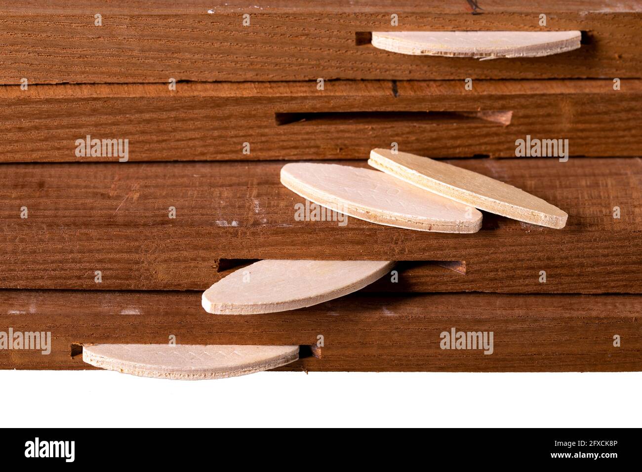 Connecting colored ash planks with lamellas. Pieces of wood prepared for gluing with carpentry glue. Isolated background. Stock Photo