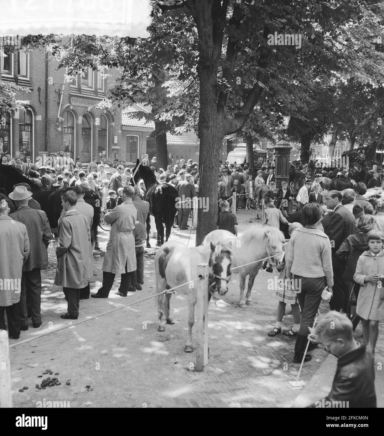 Horse market in Voorschoten, July 28, 1961, markets, horses, The Netherlands, 20th century press agency photo, news to remember, documentary, historic photography 1945-1990, visual stories, human history of the Twentieth Century, capturing moments in time Stock Photo