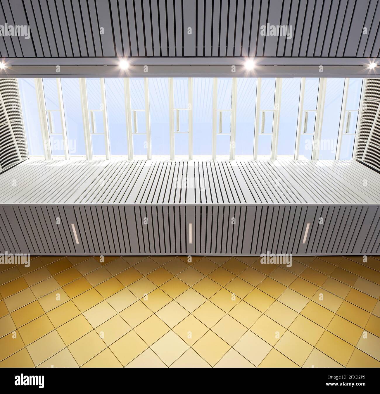 Interior cladding and skylight. University of Birmingham, Collaborative Teaching Laboratory, Birmingham, United Kingdom. Architect: Sheppard Robson, 2 Stock Photo